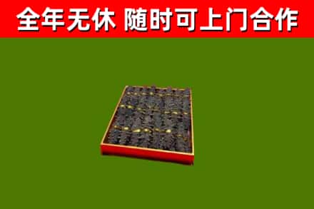 平潭烟酒回收海参.jpg